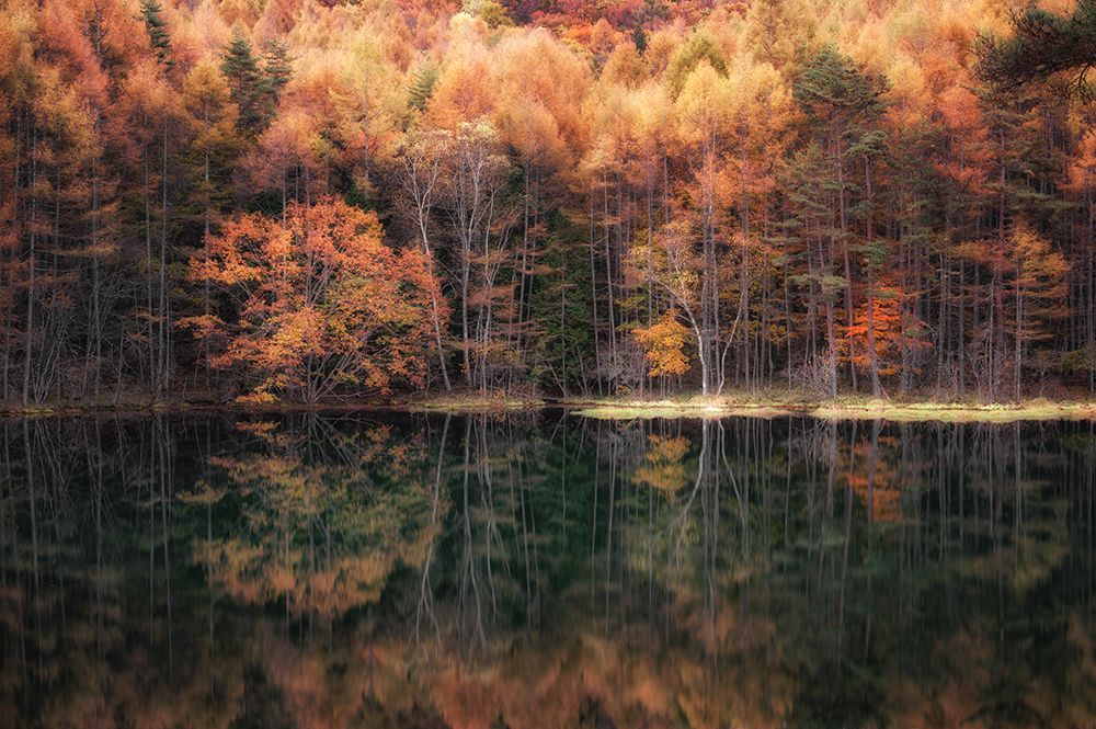 Beautiful reflection in Autumn art print by Daiki Suzuki for $57.95 CAD