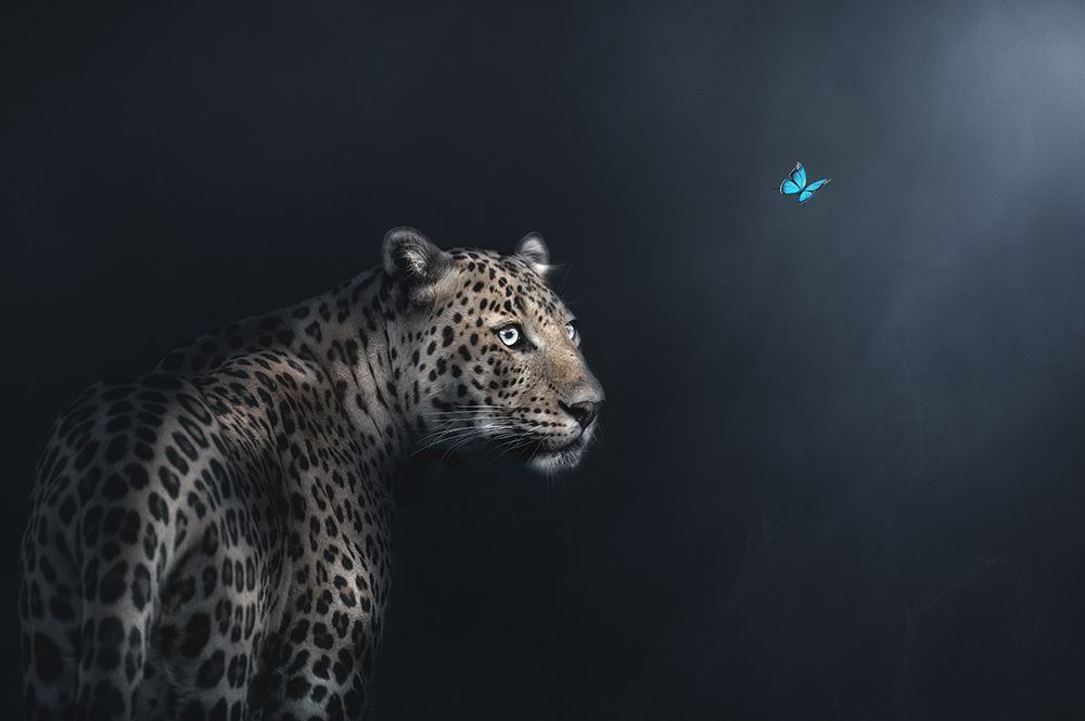 Imagination art print by Jayanta Guha for $57.95 CAD
