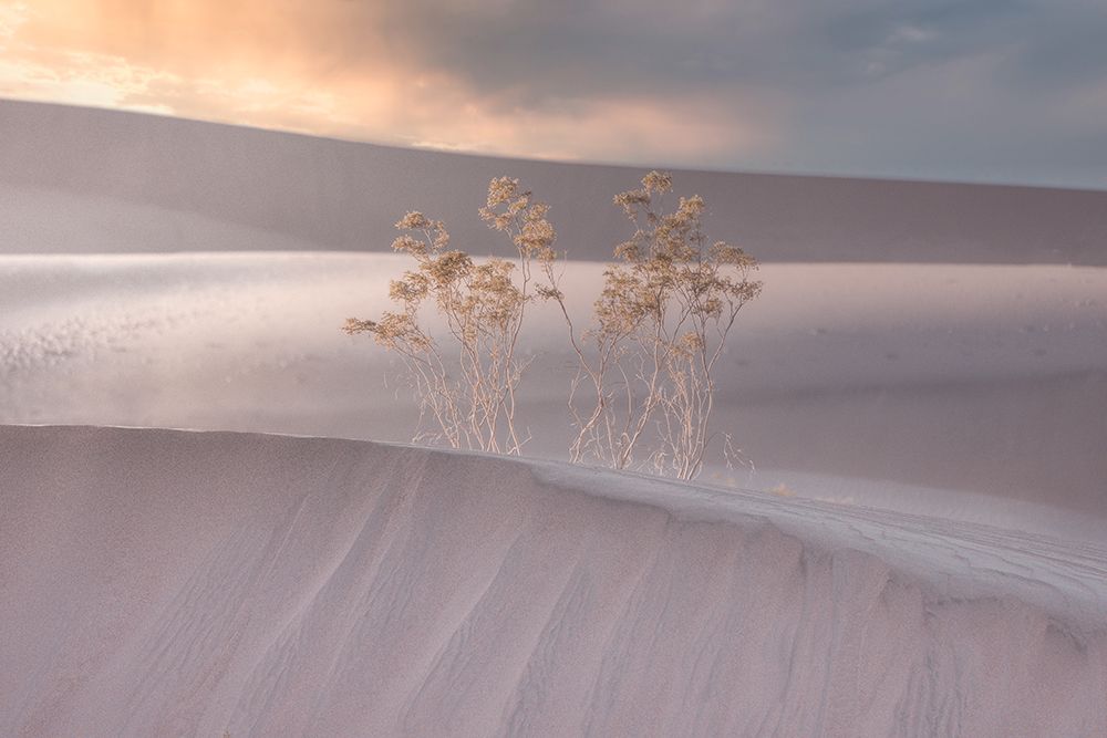 Untitled art print by Abbas Ali Amir for $57.95 CAD