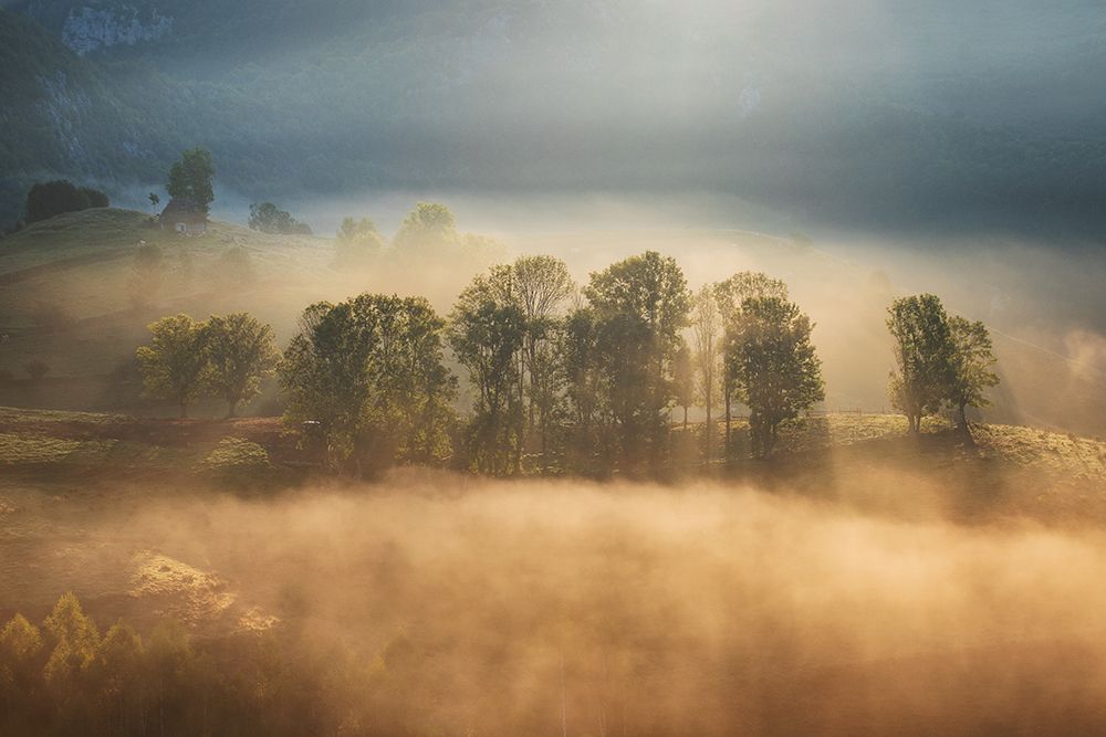 Sunrise veil art print by Alexandru Ionut Coman for $57.95 CAD