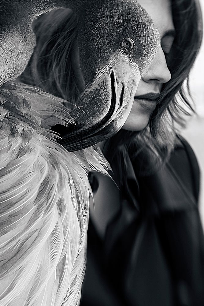 Profiles art print by Bogdan Bousca for $57.95 CAD