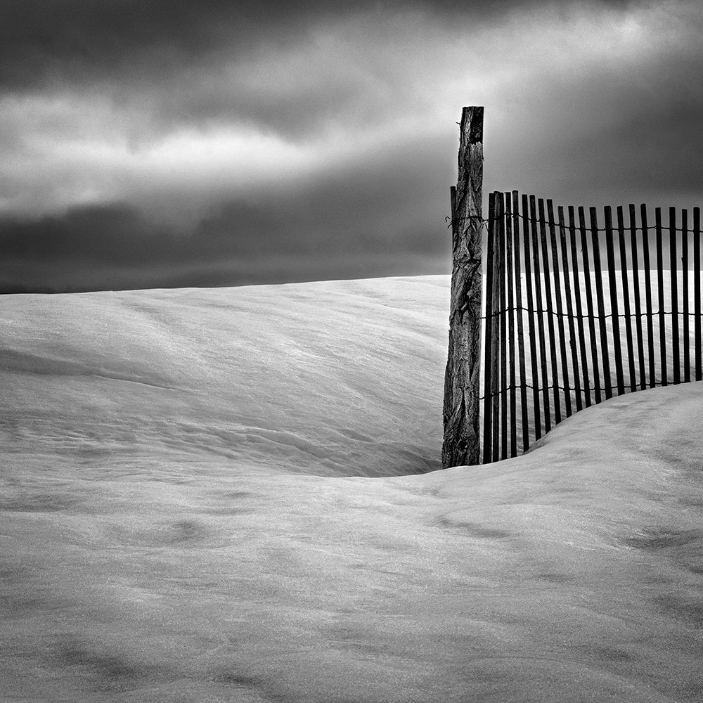 Fence art print by Elisabeth van Helden for $57.95 CAD