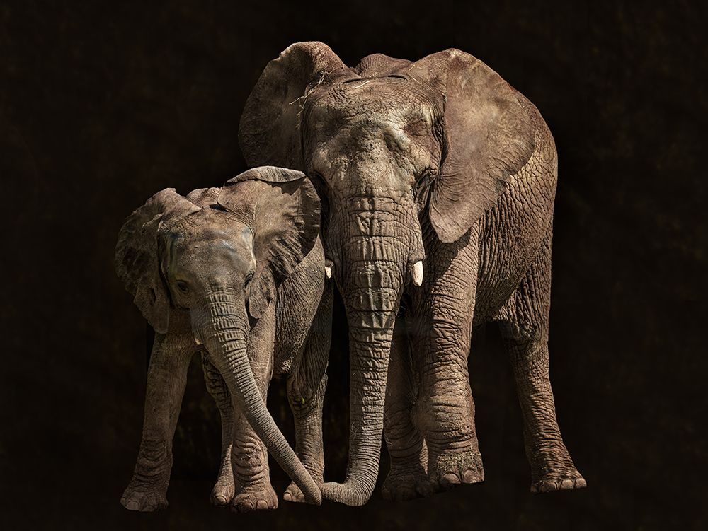 Contact art print by Juan I. Cuadrado for $57.95 CAD