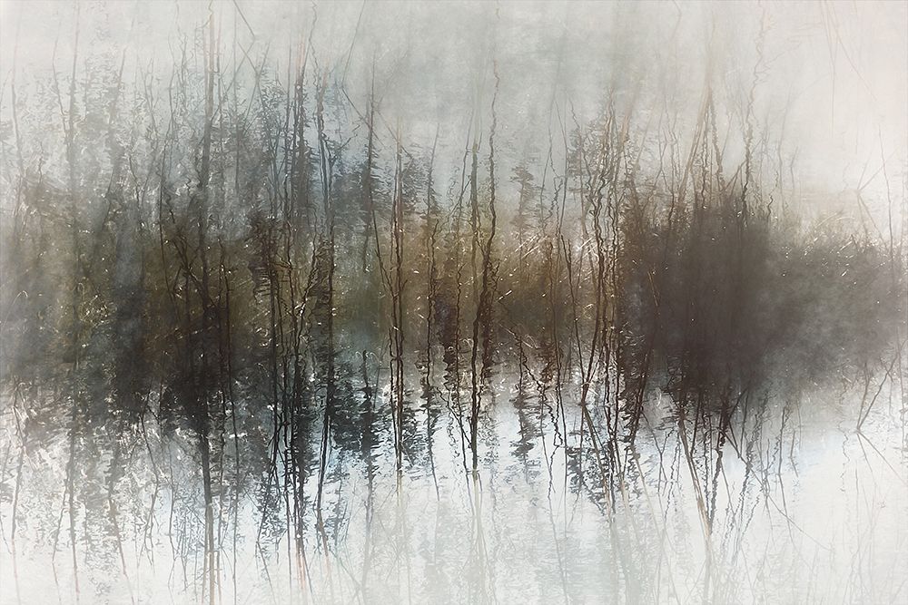 Day dreams art print by Nel Talen for $57.95 CAD