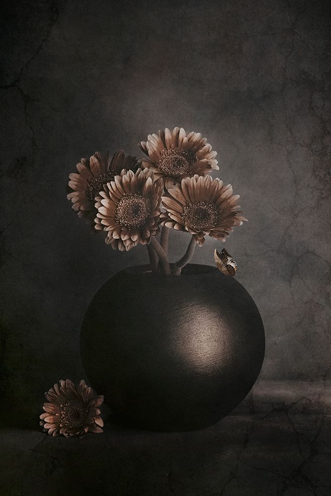 Wandering Shadows art print by Cicek Kiral for $57.95 CAD