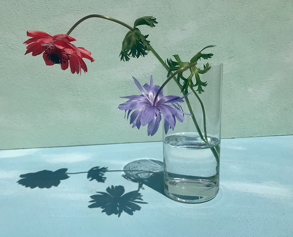 Light a Shadow art print by Donatella Basso for $57.95 CAD