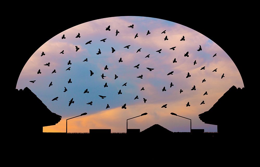 Homeward Bound art print by Sayyed Nayyer Reza for $57.95 CAD