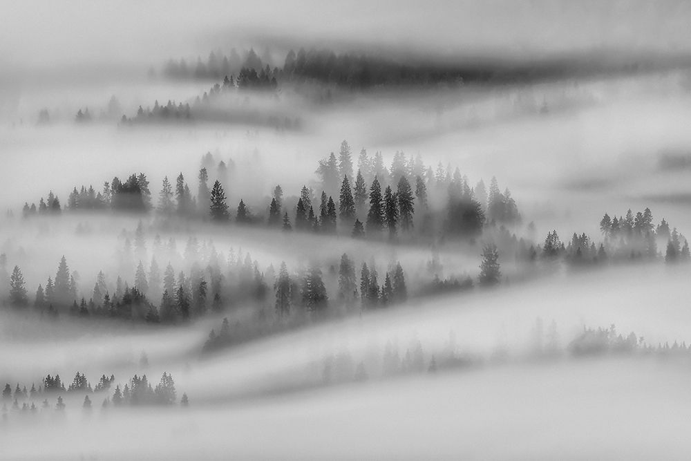 Autumn Impresions art print by Marian Kuric Ep for $57.95 CAD