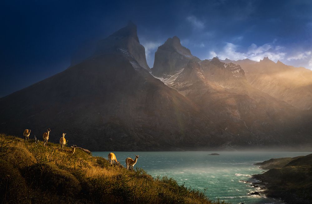 Immersing  in the golden lights art print by Bing Li for $57.95 CAD