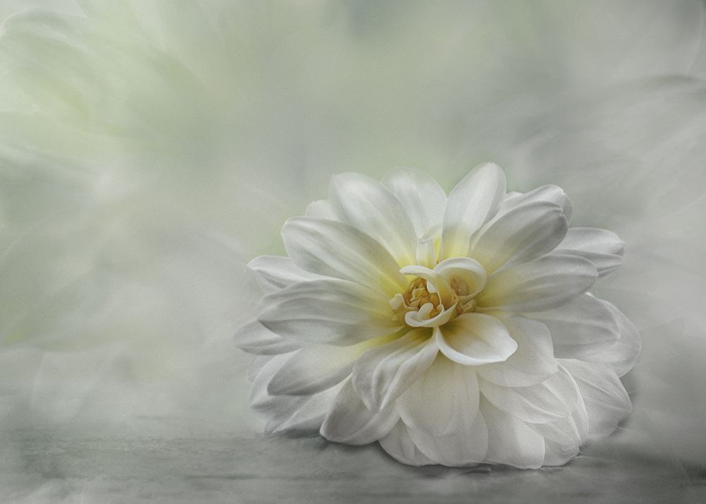 Be Kind art print by Elisabeth Van Helden for $57.95 CAD