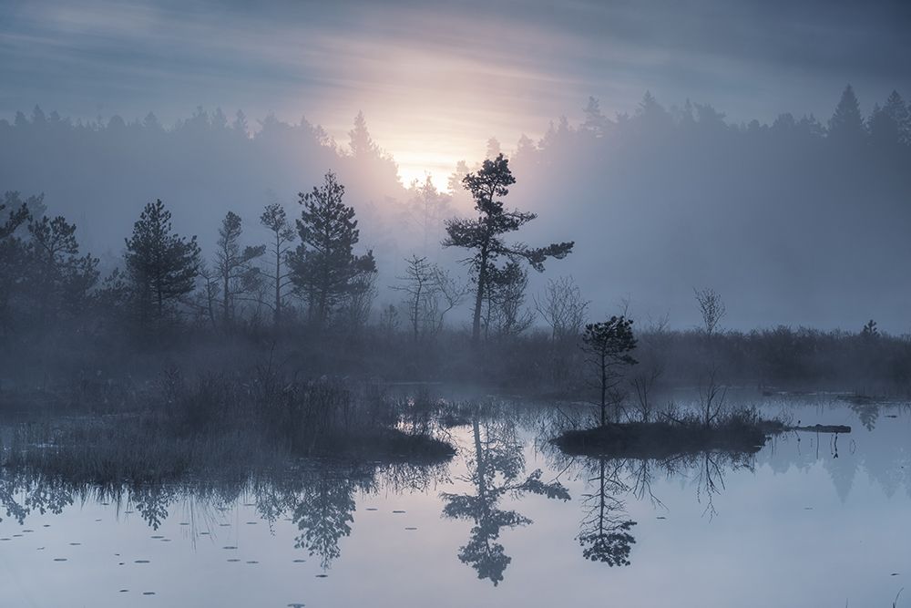 When the sun wakes up art print by Benny Pettersson for $57.95 CAD