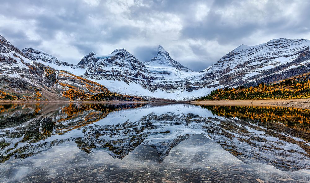 Assiniboine reflection art print by Ning Lin for $57.95 CAD
