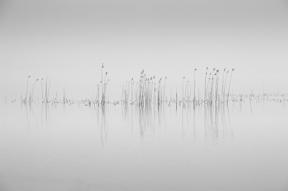 Simplicity art print by Benny Pettersson for $57.95 CAD
