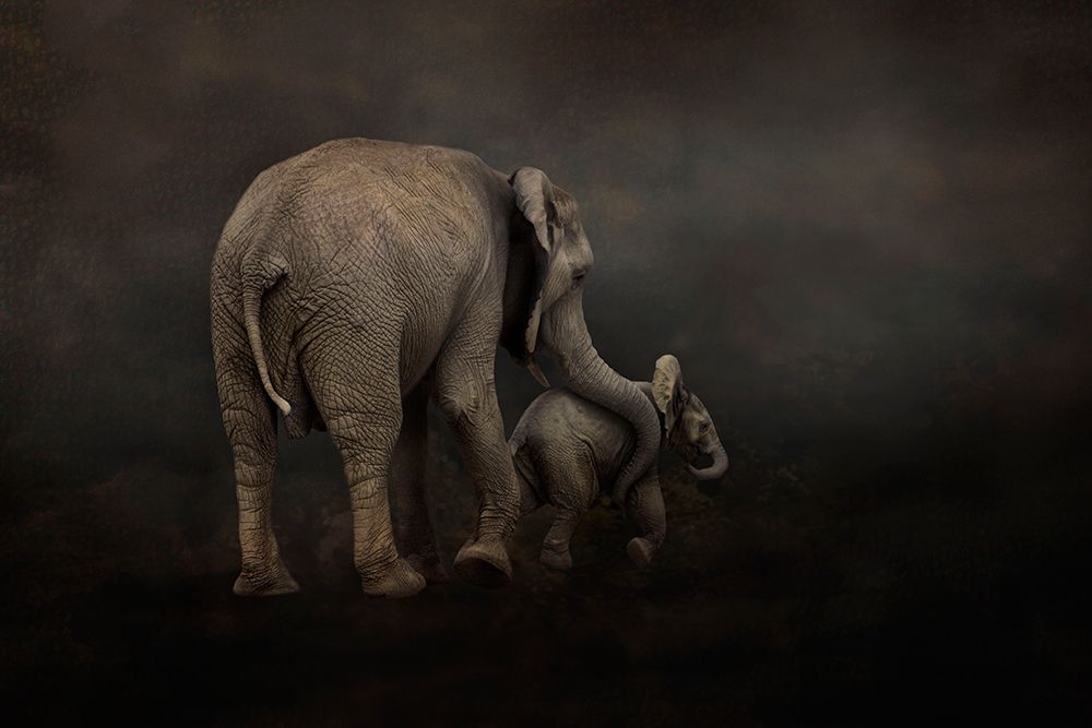I Hold You art print by Krystina Wisniowska for $57.95 CAD