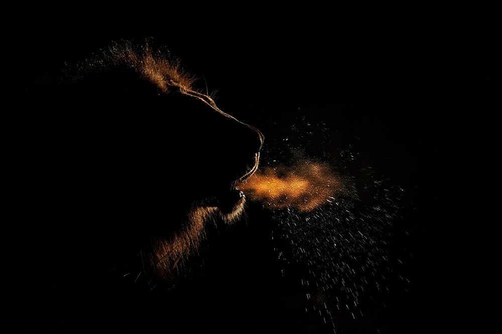 Breath Of A King art print by Alessandro Catta for $57.95 CAD