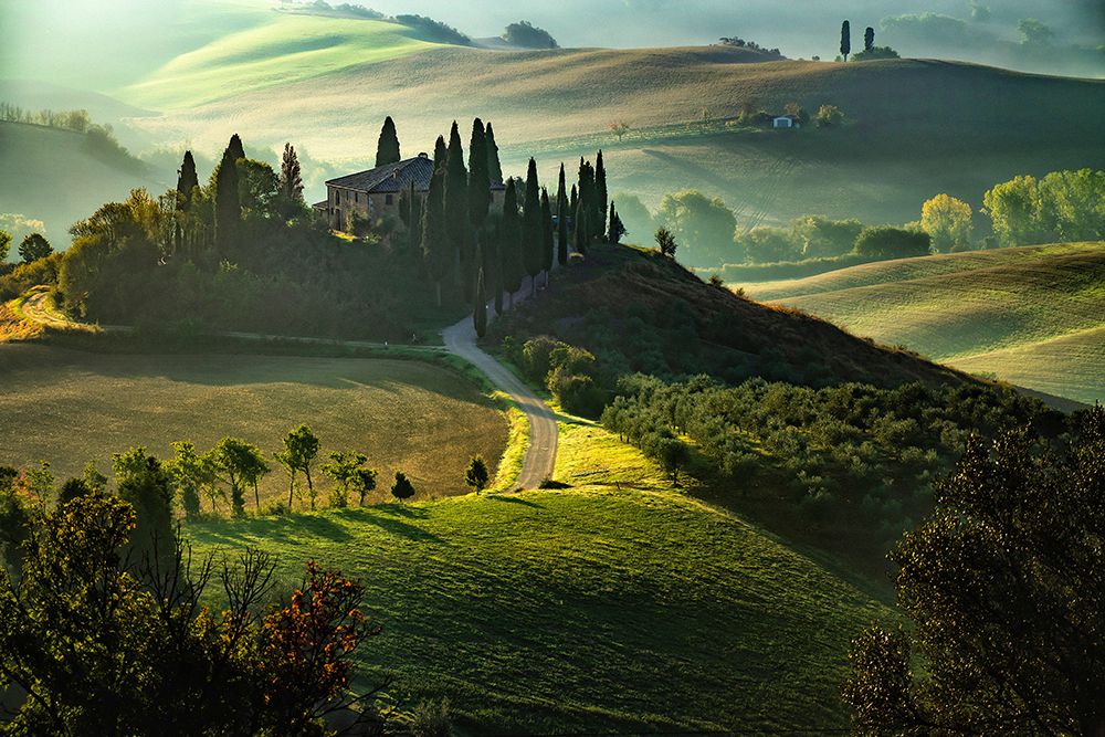 Val d Orcia art print by Pasquale Guerra for $57.95 CAD