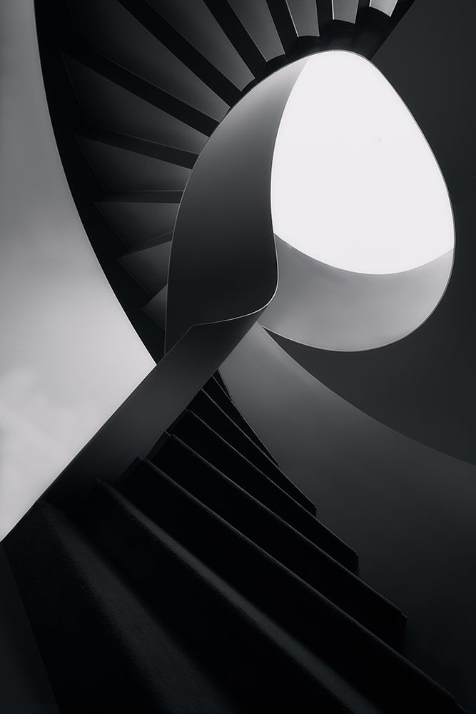 Round lines art print by Olavo Azevedo for $57.95 CAD