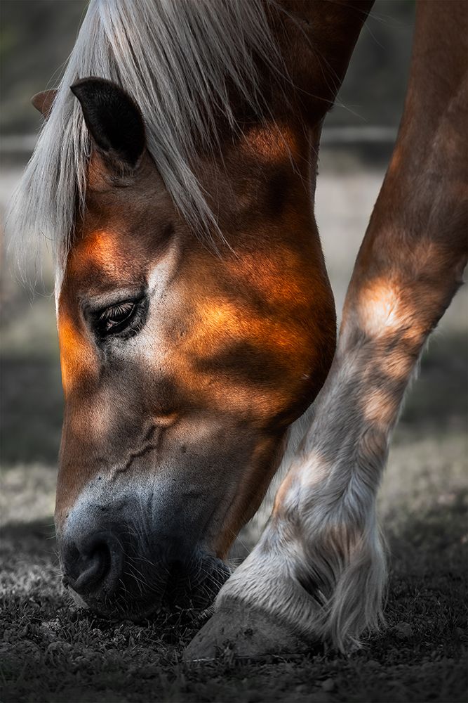 Filtered Light art print by Francis Wilson for $57.95 CAD