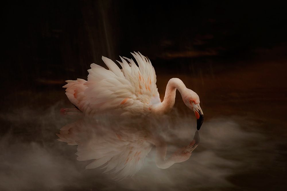 Flamingos Paradise art print by Krystina Wisniowska for $57.95 CAD