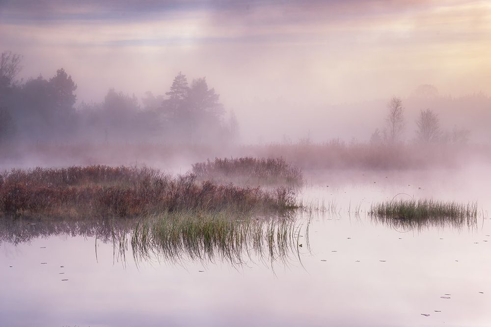 The Day Dawns art print by Benny Pettersson for $57.95 CAD