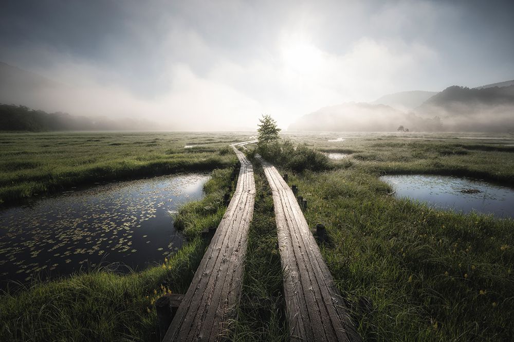 Into The Foggy World art print by Daiki Suzuki for $57.95 CAD