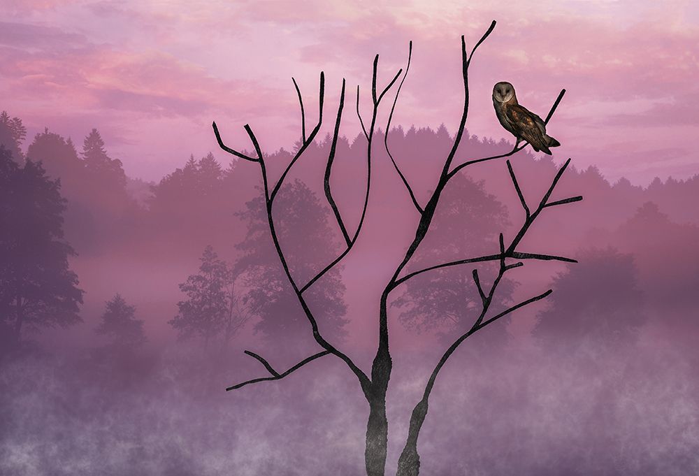 Pink Sky in the Morning art print by Barbara A. Fletcher for $57.95 CAD