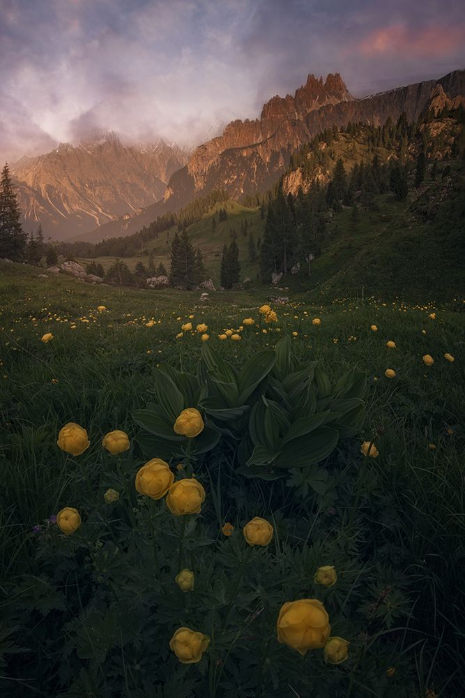 Dolomiti art print by David Martin Castan for $57.95 CAD
