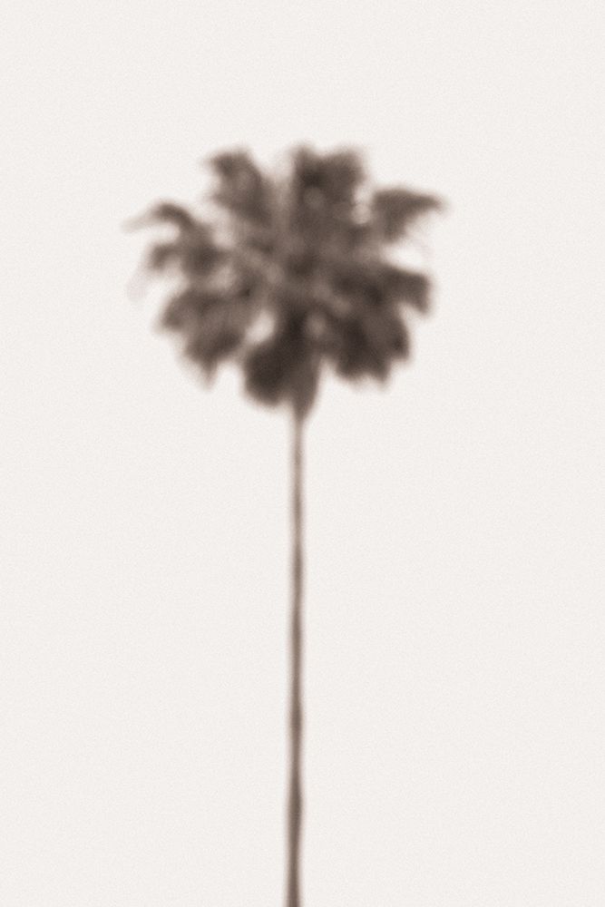 Palm Blury art print by 1x Studio III for $57.95 CAD