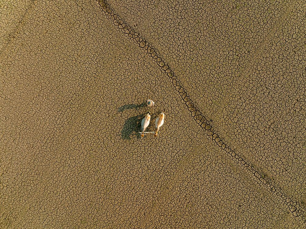 Dried Land art print by Azim Khan Ronnie for $57.95 CAD
