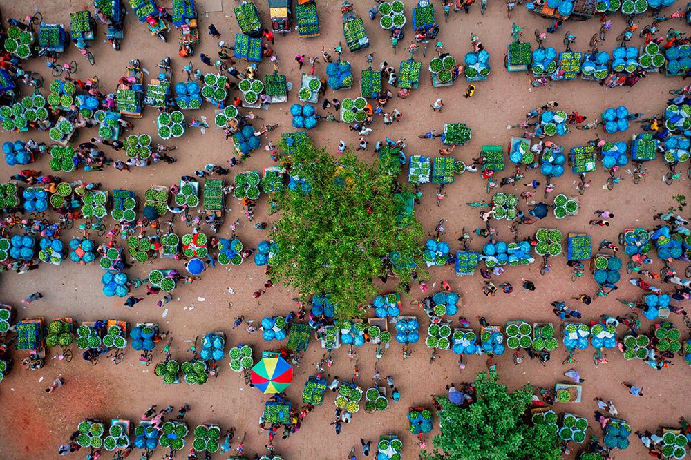 Wholesale Mango Market art print by Azim Khan Ronnie for $57.95 CAD