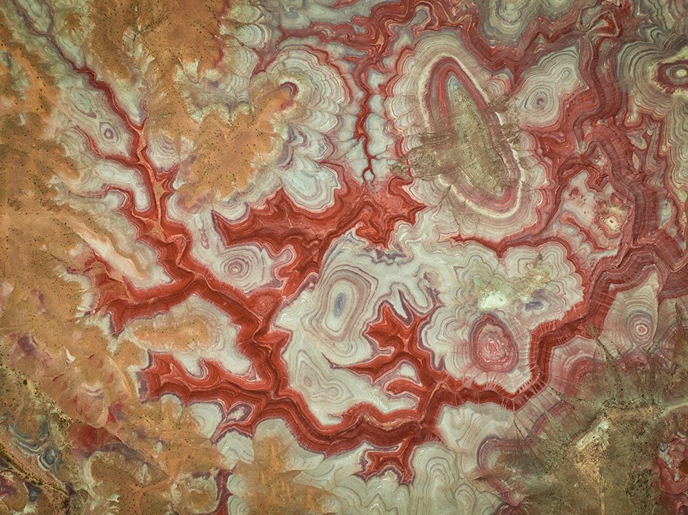 Red Dragon of The Badlands art print by Michael Zheng for $57.95 CAD