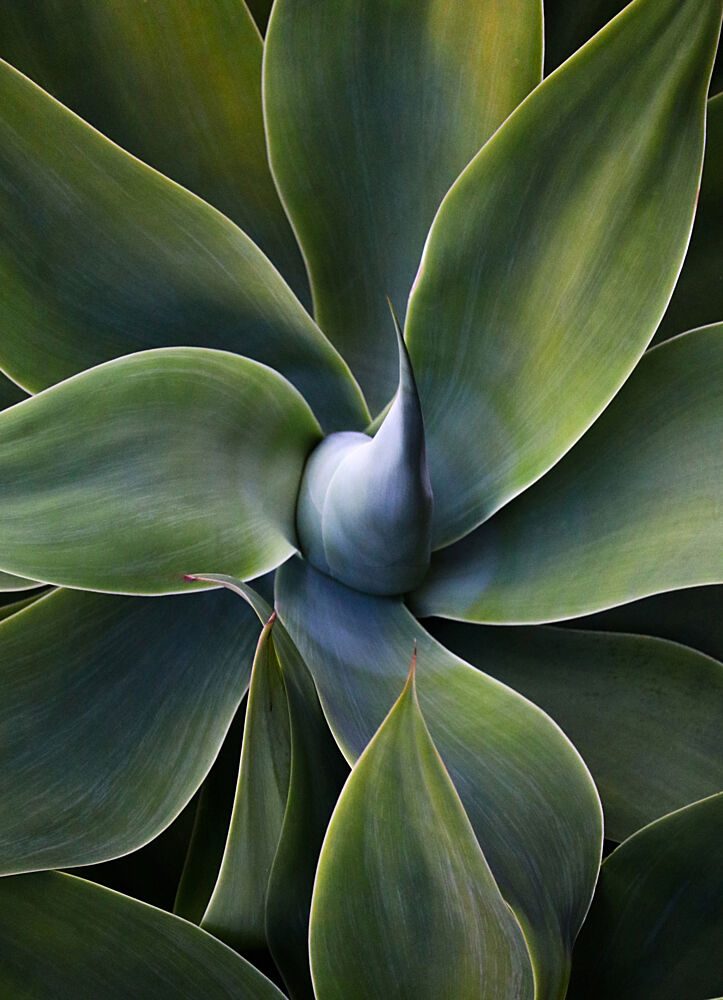 A Little Bit Like a Pinwheel art print by Robin Wechsler for $57.95 CAD