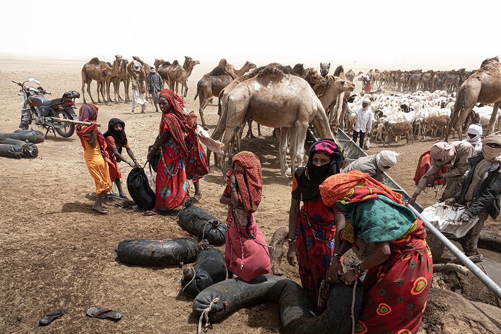So Much ActIVity Around The Well At Borkou Desert-Tchad art print by Elena Molina for $57.95 CAD