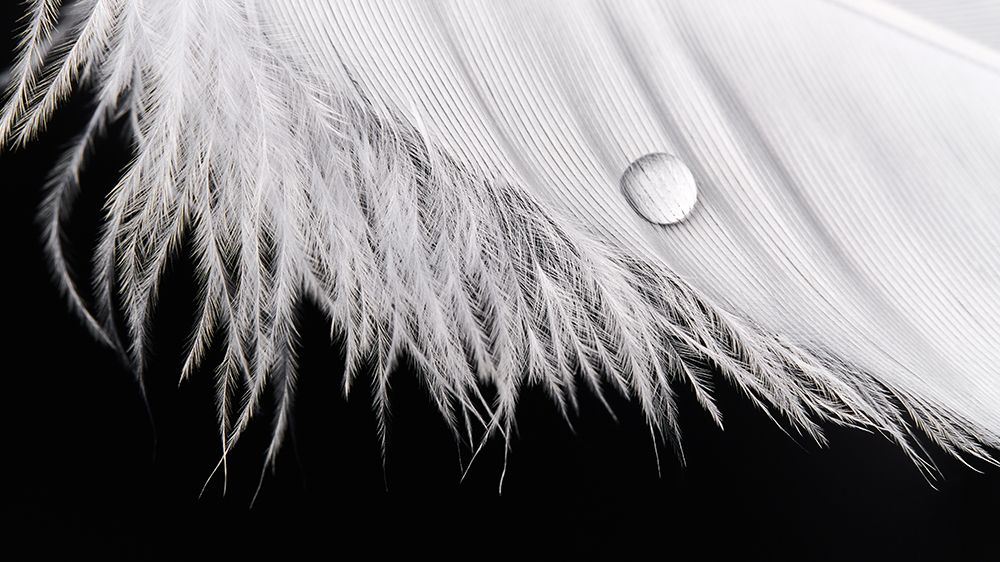 Slide art print by Drazen Sokac for $57.95 CAD