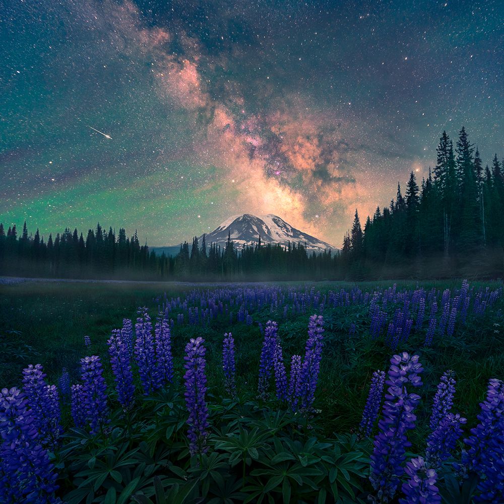 Night At The Adams art print by Atanu Bandyopadhyay for $57.95 CAD