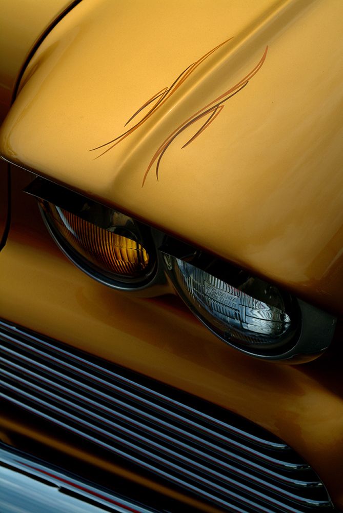 Tiger Eye art print by Don Peach for $57.95 CAD