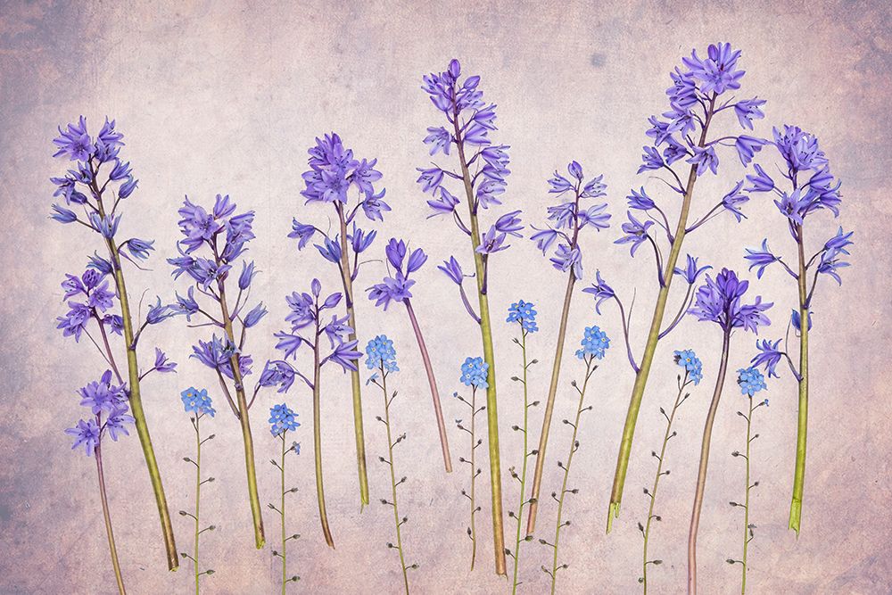 Untitled art print by Hardik Pandya for $57.95 CAD