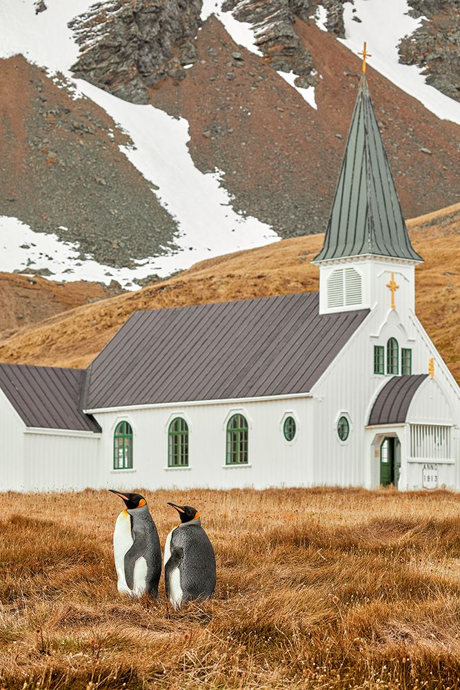 On the way to church art print by Wiolett for $57.95 CAD