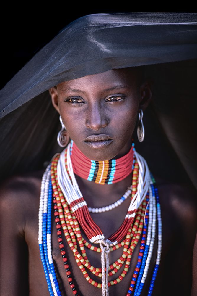Arbore allure art print by Trevor Cole for $57.95 CAD