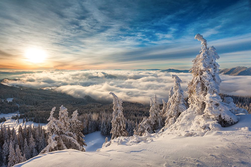 WinterTime art print by Dan Mirica for $57.95 CAD