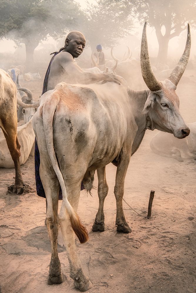Mundari Massage art print by Trevor Cole for $57.95 CAD