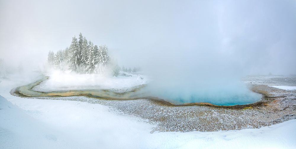 A Little Pearl Pond art print by Dianne Mao for $57.95 CAD