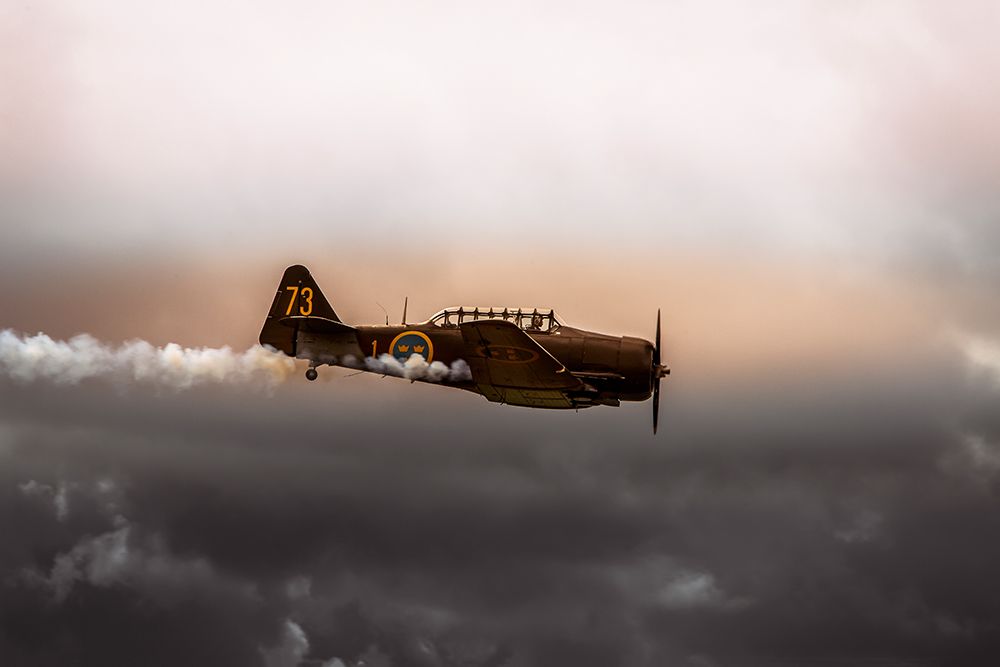 Airshow Roskilde art print by Jorgen Wicklow for $57.95 CAD