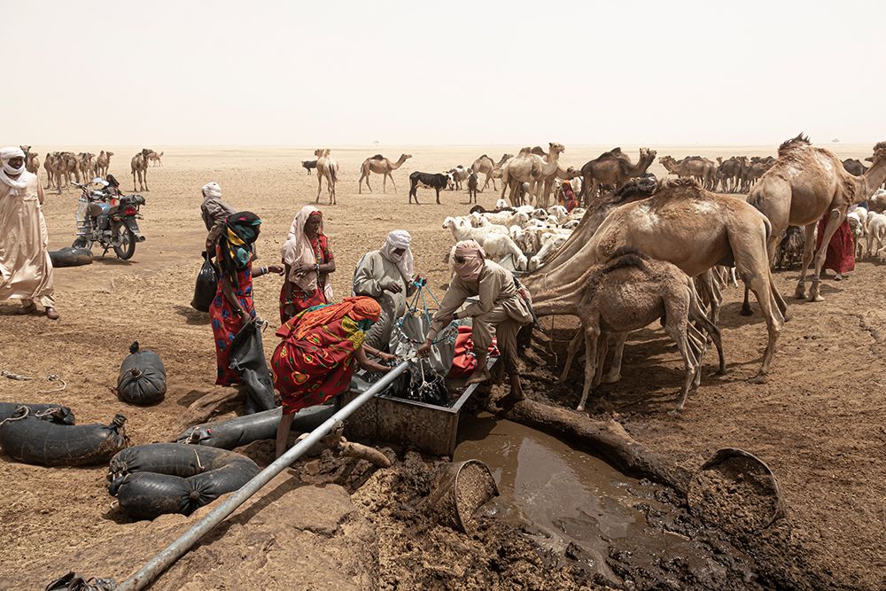 So Much ActIVity Around The Well At Borkou Desert-Tchad art print by Elena Molina for $57.95 CAD
