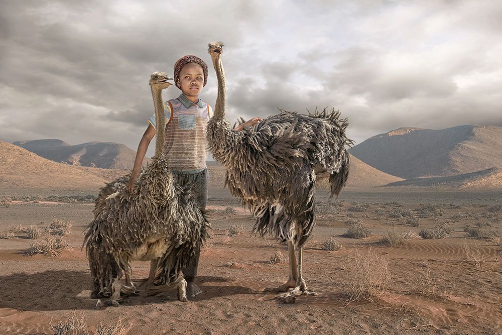 Ostrichboy art print by Marcel Egger for $57.95 CAD