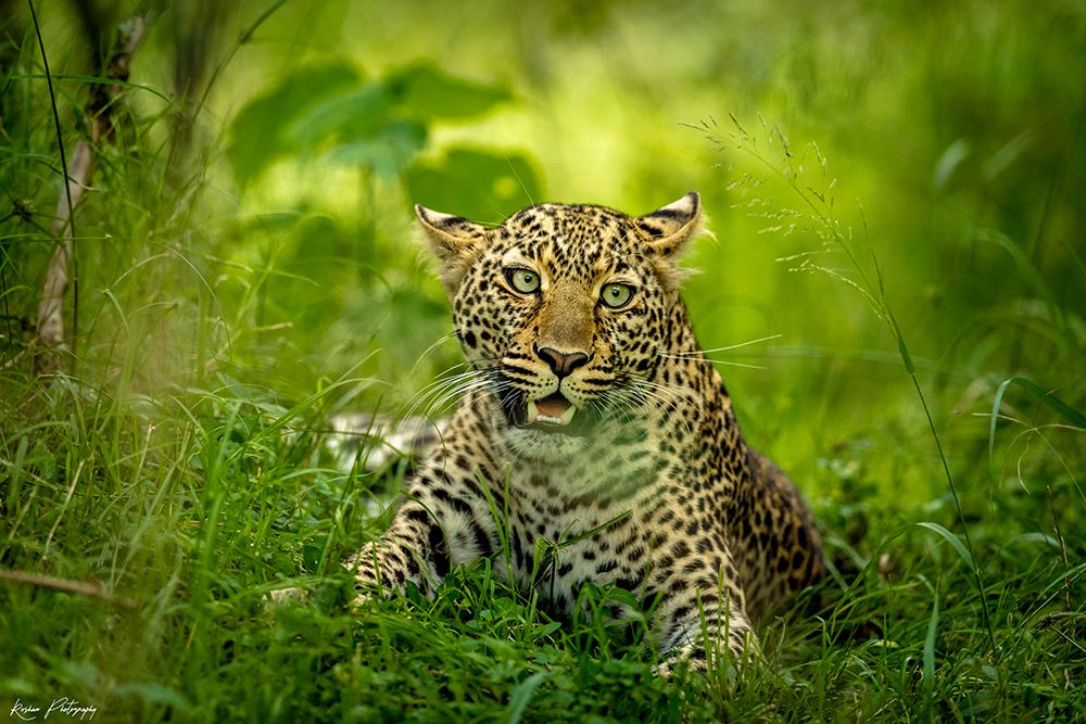 Panic Moment art print by Roshkumar for $57.95 CAD