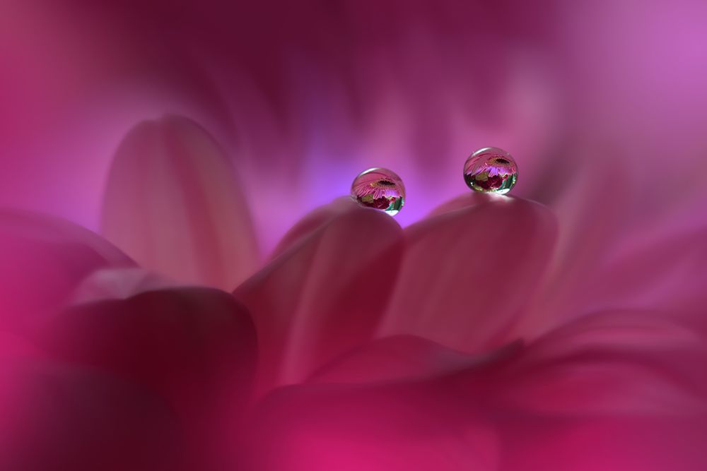Immortal Love...II art print by Juliana Nan for $57.95 CAD