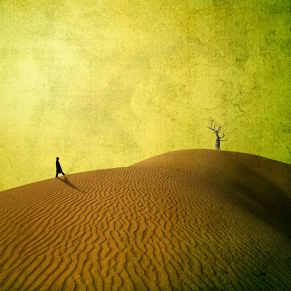 Desert art print by Evgenii Novichikhin for $57.95 CAD