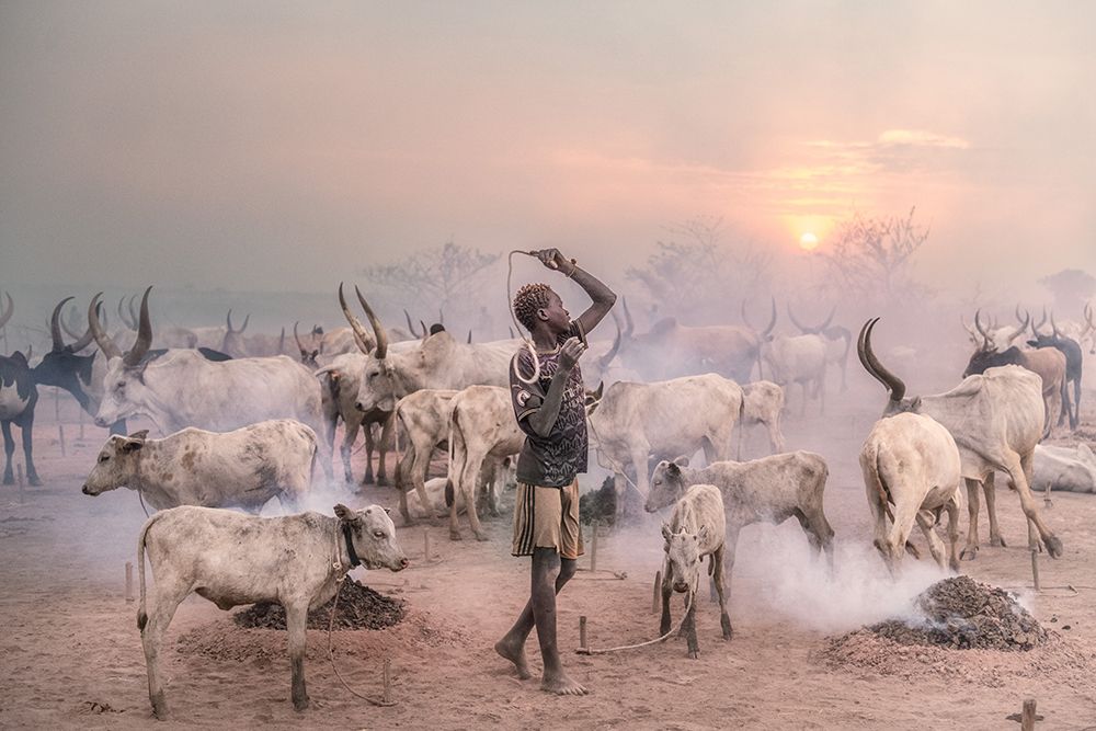Boy Herder art print by Trevor Cole for $57.95 CAD