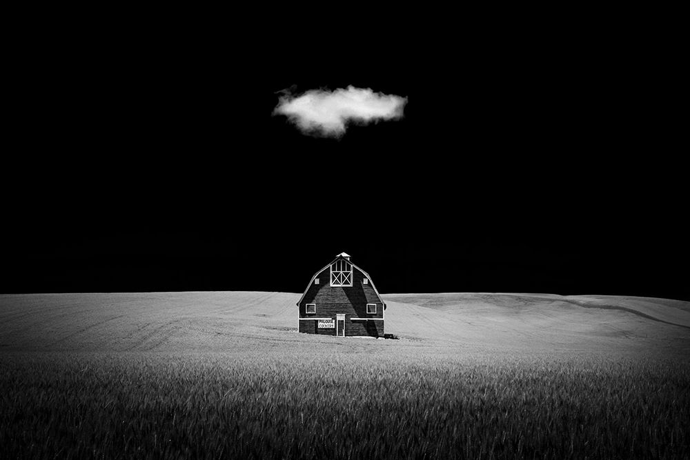 Watcher In The Rye art print by Tony Xu for $57.95 CAD